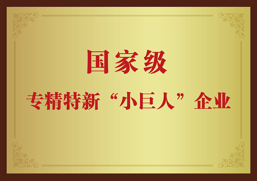 国家级专精特新“小巨人”企业