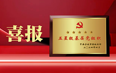 喜报丨浙江易通荣获“五星级基层党组织”称号